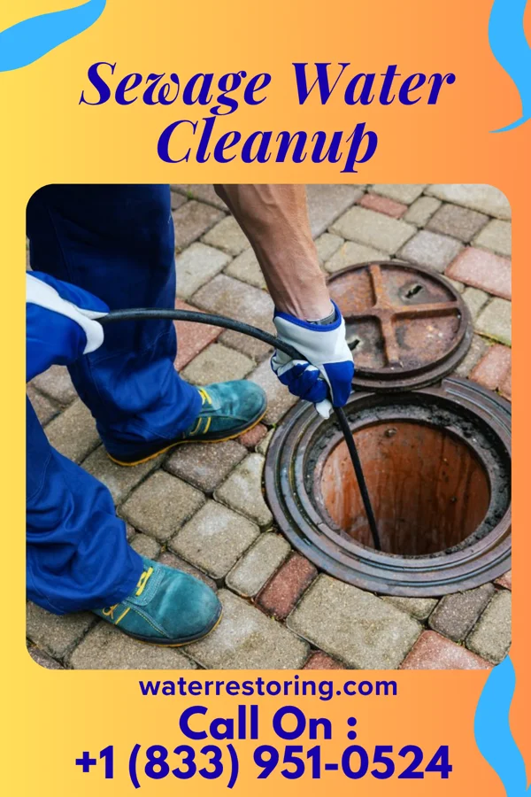 Sewage Water Cleanup in Green Mountain, IA